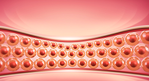 온다리프팅이미지