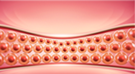 온다리프팅이미지