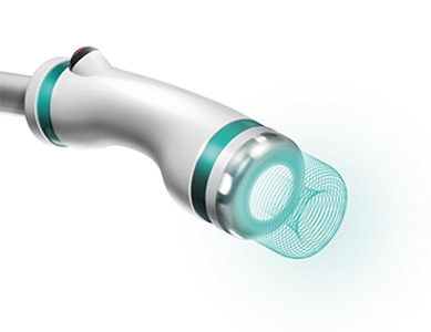 온다리프팅이미지